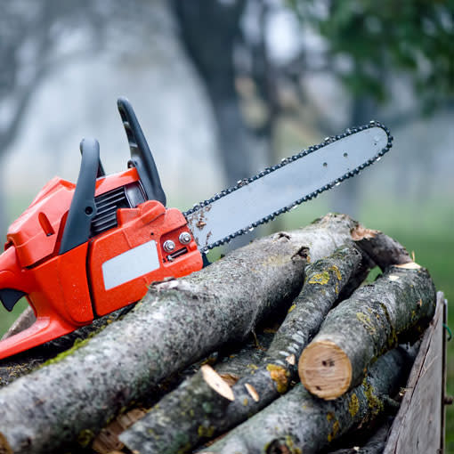 Tree Services